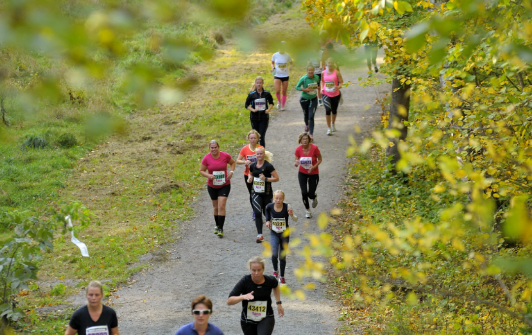 Lidingöloppet (1)