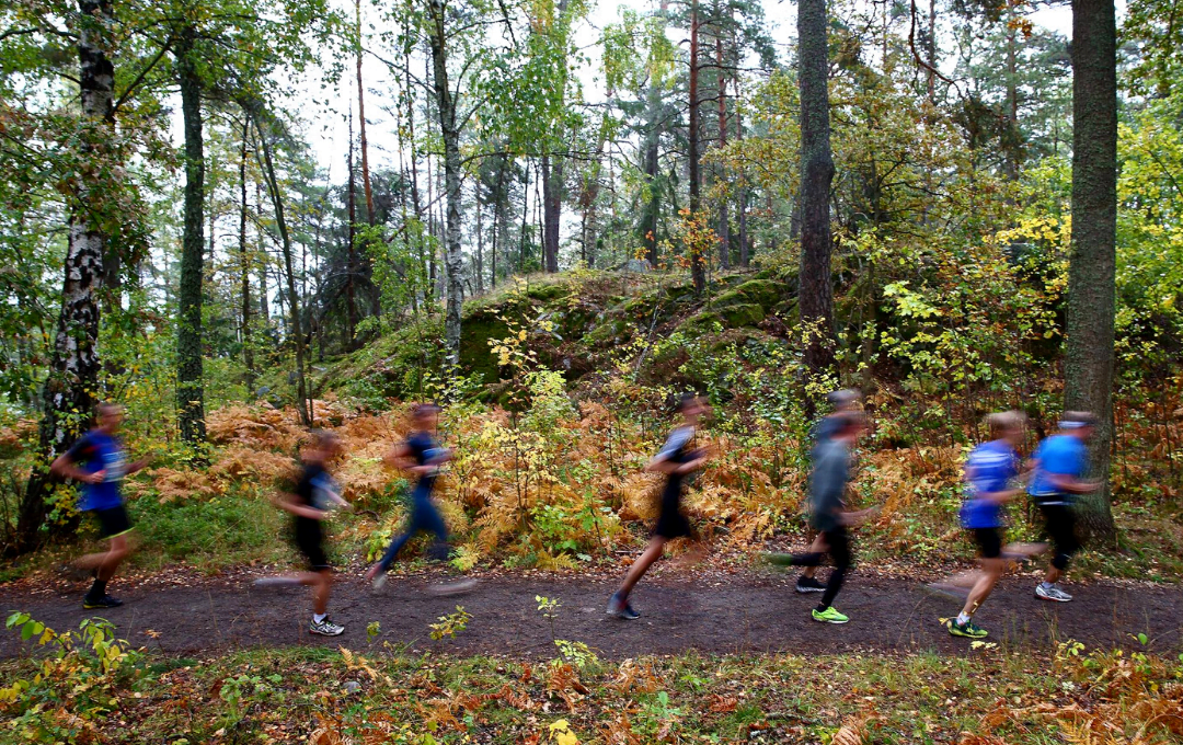 Lidingöloppet (9)