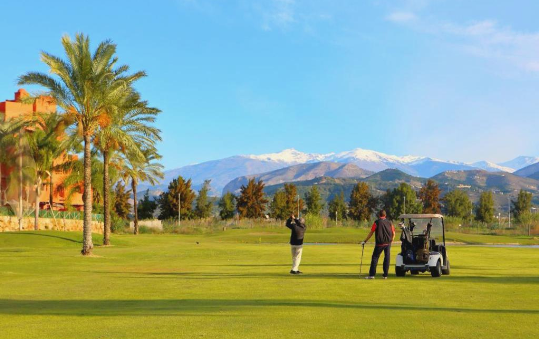 KODULEHE pildid - 2025-06-02T111348.361