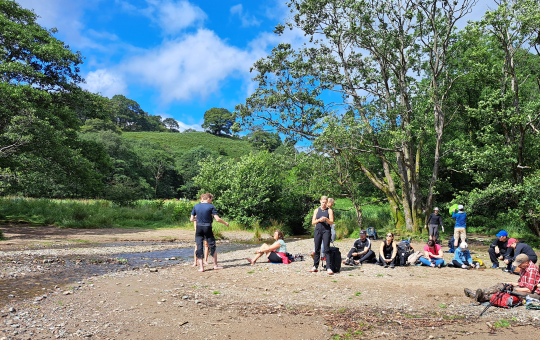 Kodulehe pildid 2 (17)