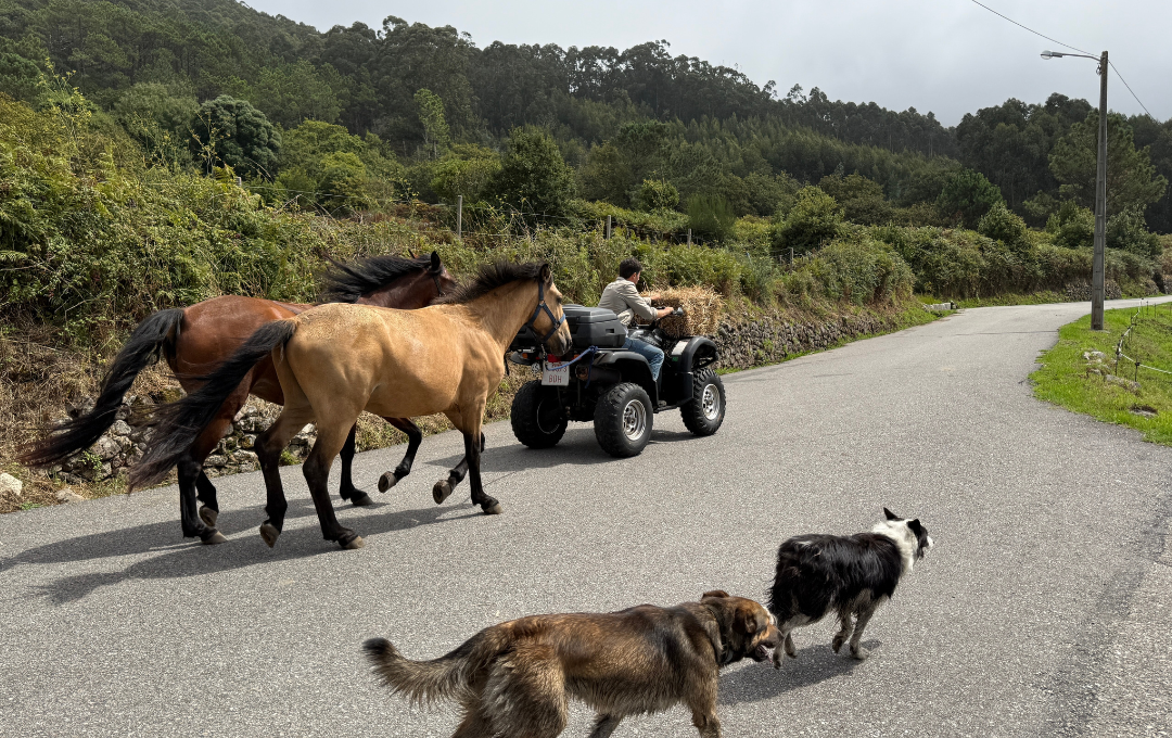 Palverännak rattal 5