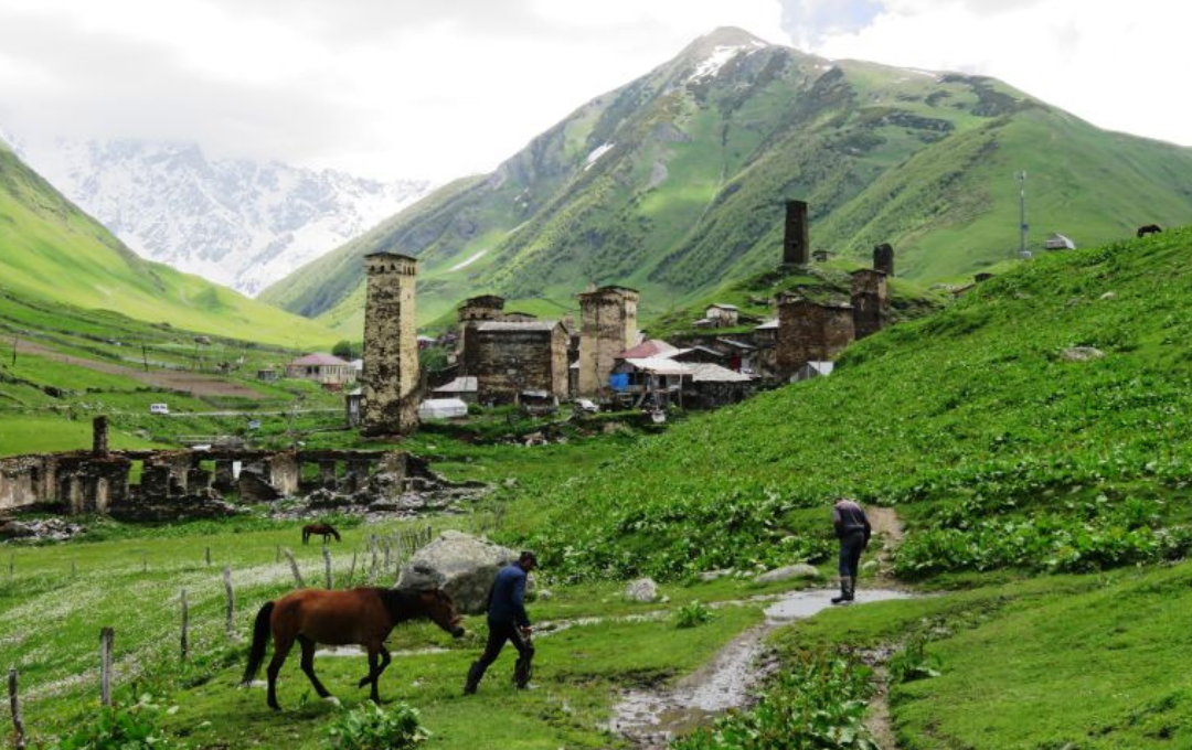 KODULEHE pildid - 2025-11-19T124951.896