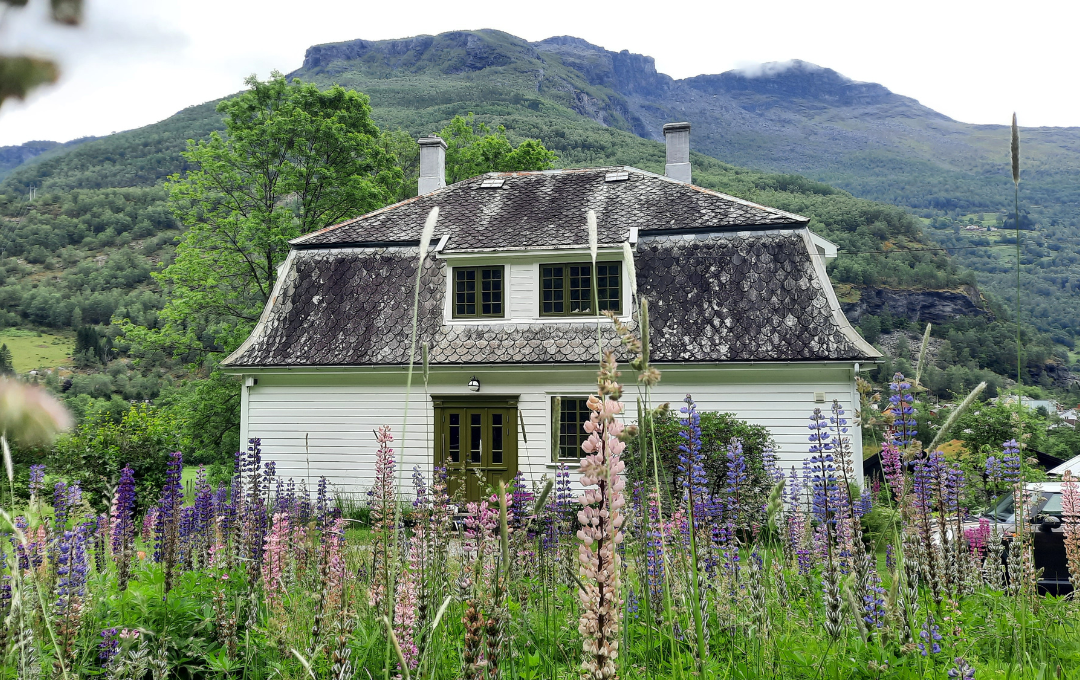 KODULEHE pildid - 2025-11-19T155240.409