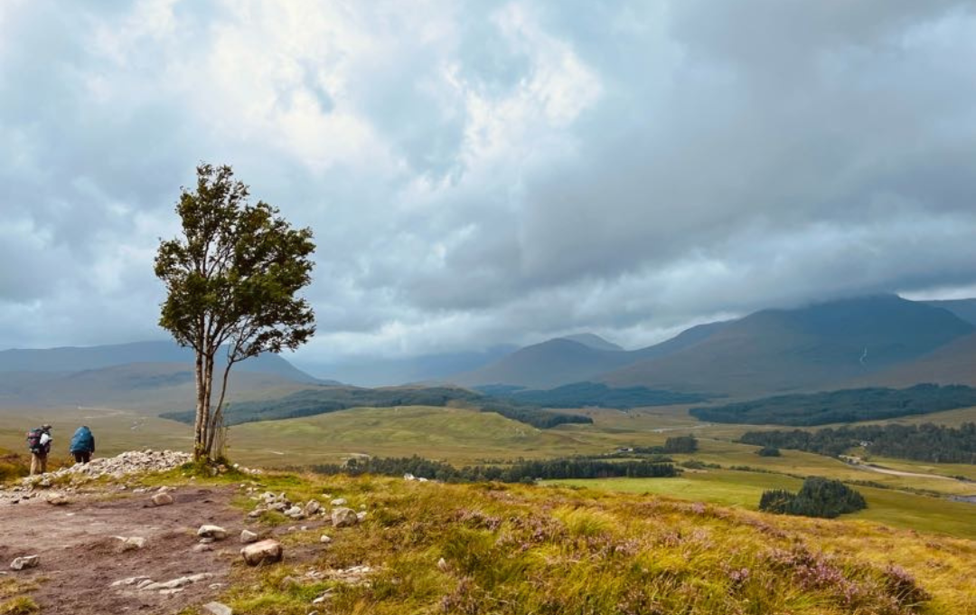 KODULEHE pildid - 2025-11-20T095110.349