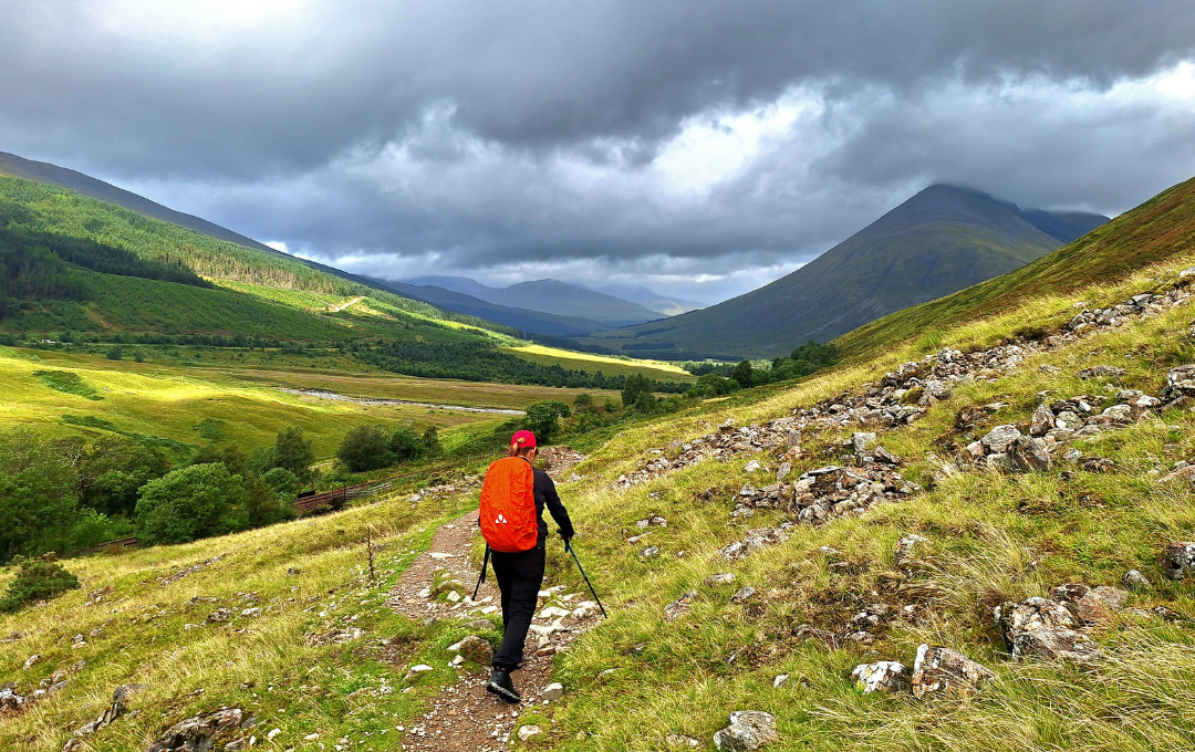 KODULEHE pildid - 2025-11-20T095348.738