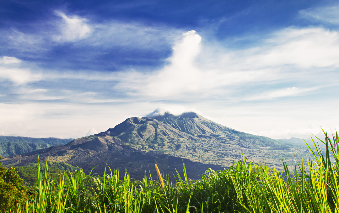 KODULEHE pildid - 2025-11-20T153240.476