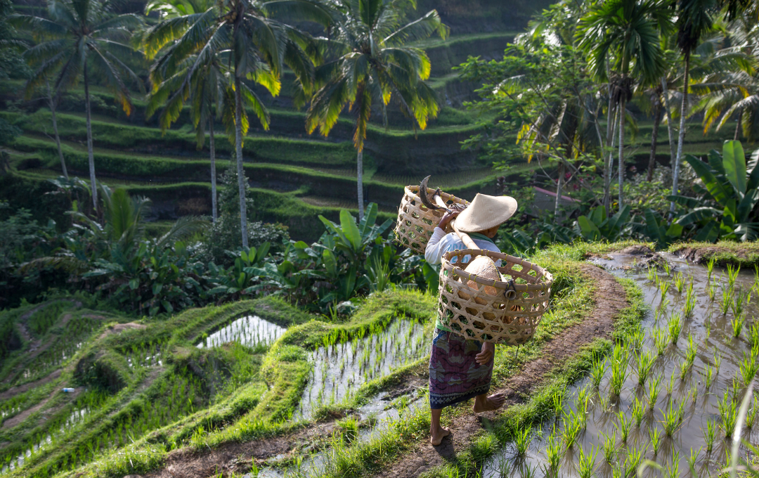 KODULEHE pildid - 2025-11-20T153317.994