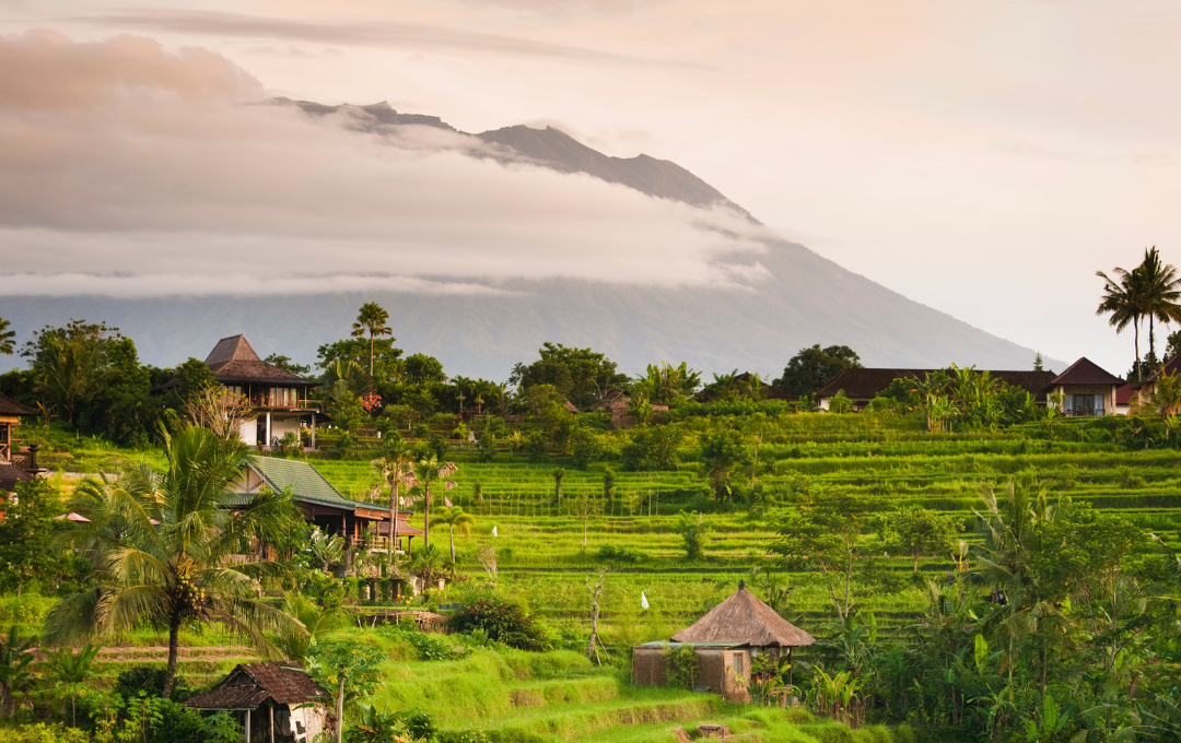 KODULEHE pildid - 2025-11-20T153513.043