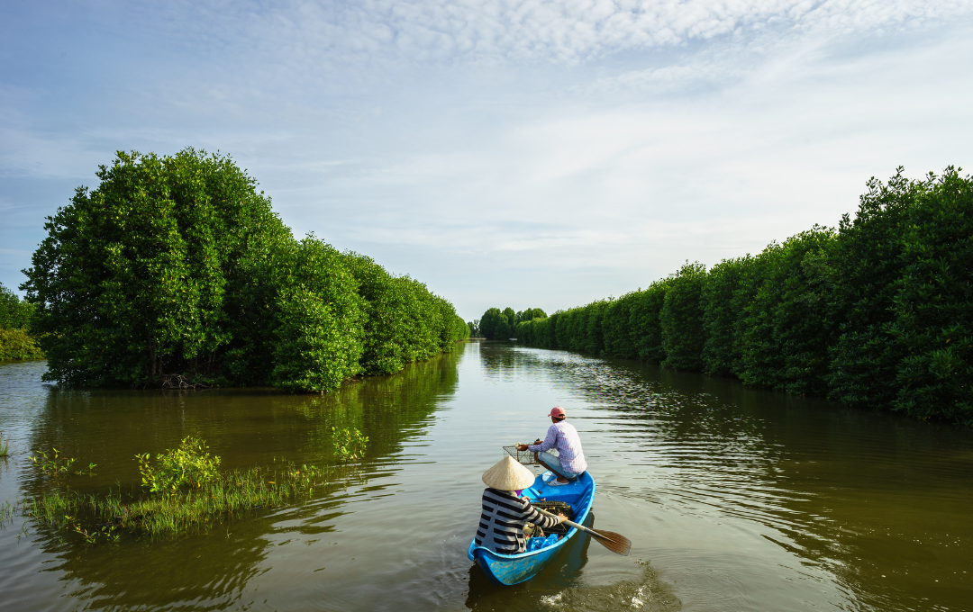 KODULEHE pildid - 2025-11-20T153633.851