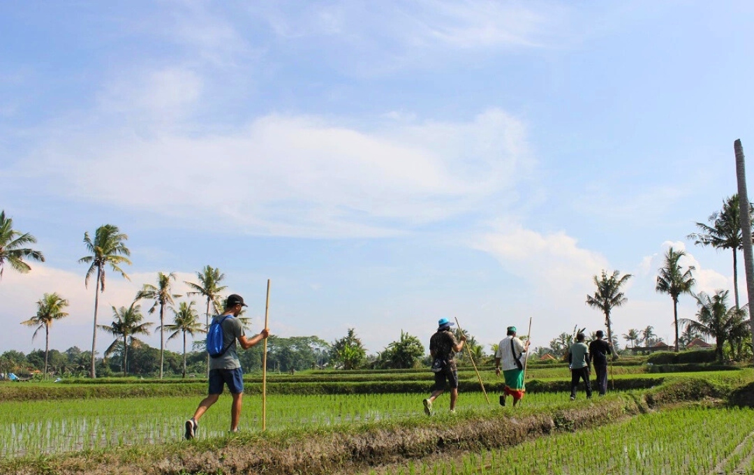 KODULEHE pildid - 2025-11-20T154847.198