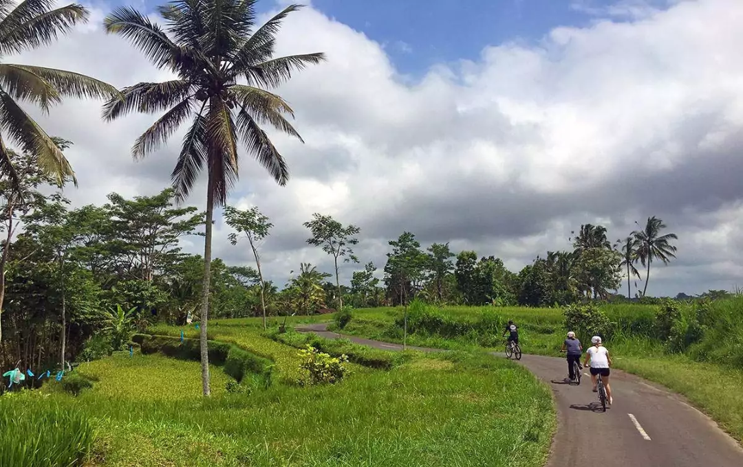 KODULEHE pildid - 2025-11-20T162616.156