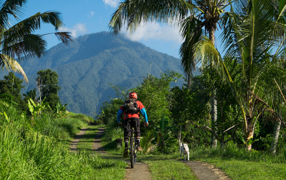 KODULEHE pildid - 2025-11-20T164108.695