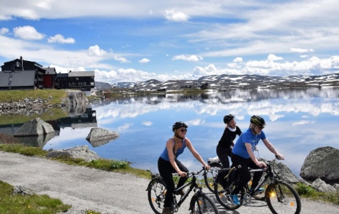 KODULEHE pildid - 2025-11-20T190808.595