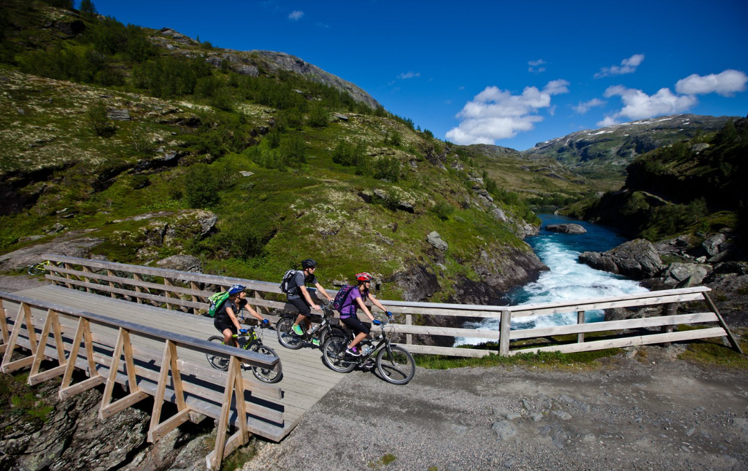 KODULEHE pildid - 2025-11-20T191029.231