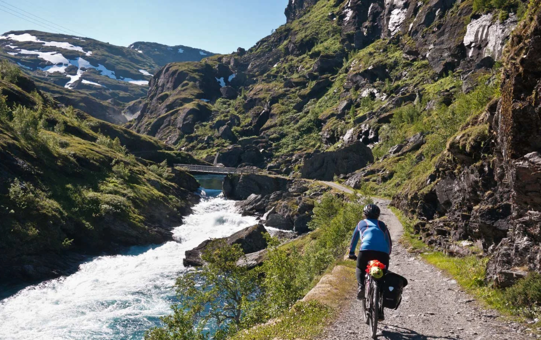 KODULEHE pildid - 2025-11-20T191100.289