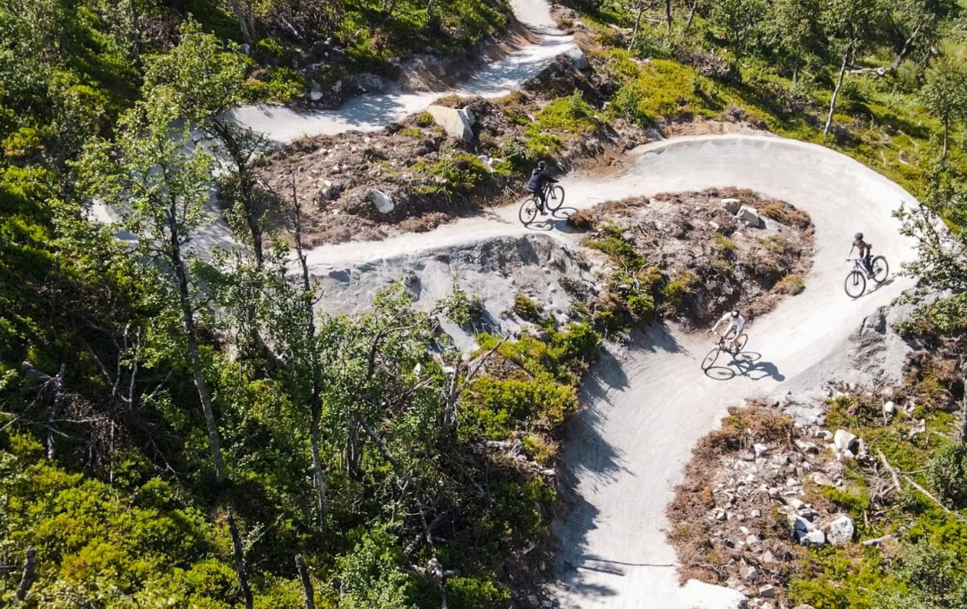 KODULEHE pildid - 2025-11-20T191530.092