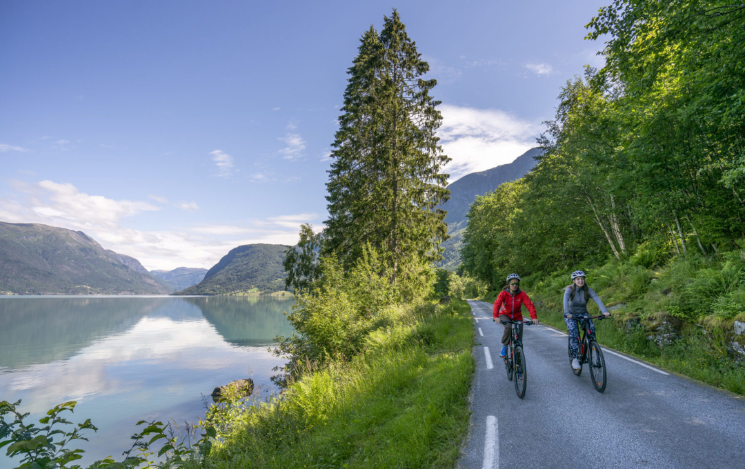 KODULEHE pildid - 2025-11-20T192049.000