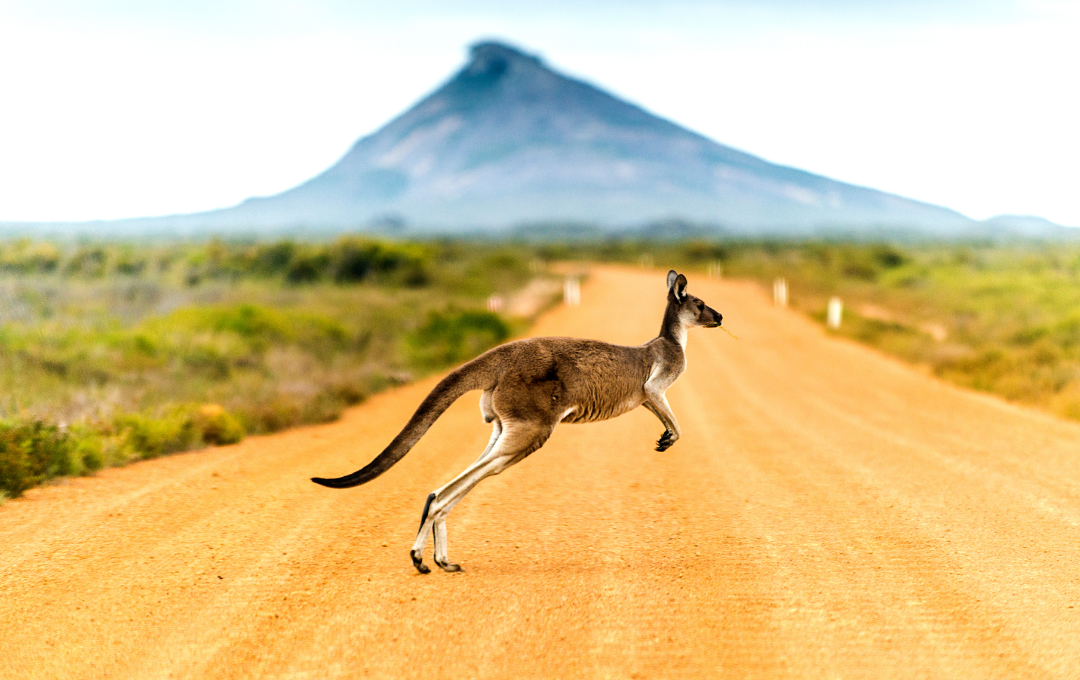 Austraalia suusatuur 7