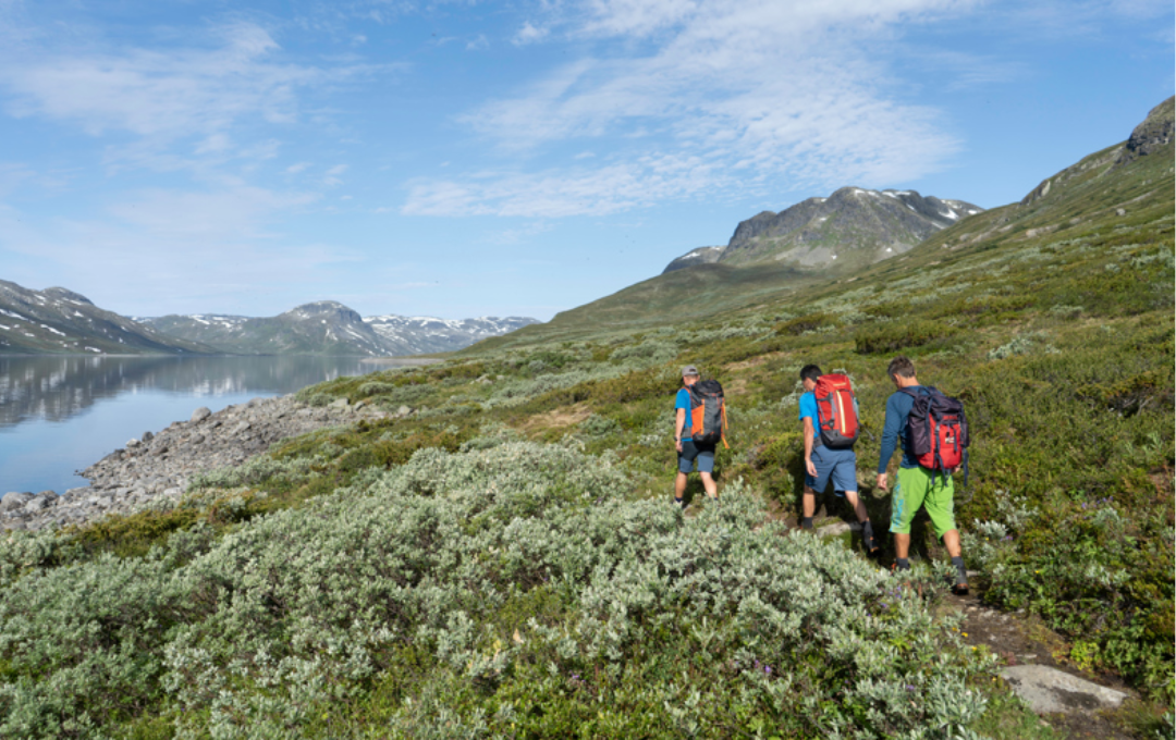 KODULEHE pildid - 2026-01-26T131439.840