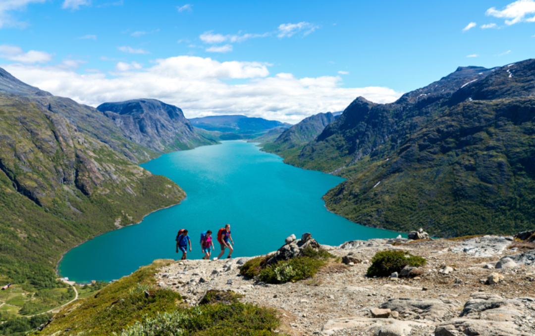 KODULEHE pildid - 2026-01-26T131458.269