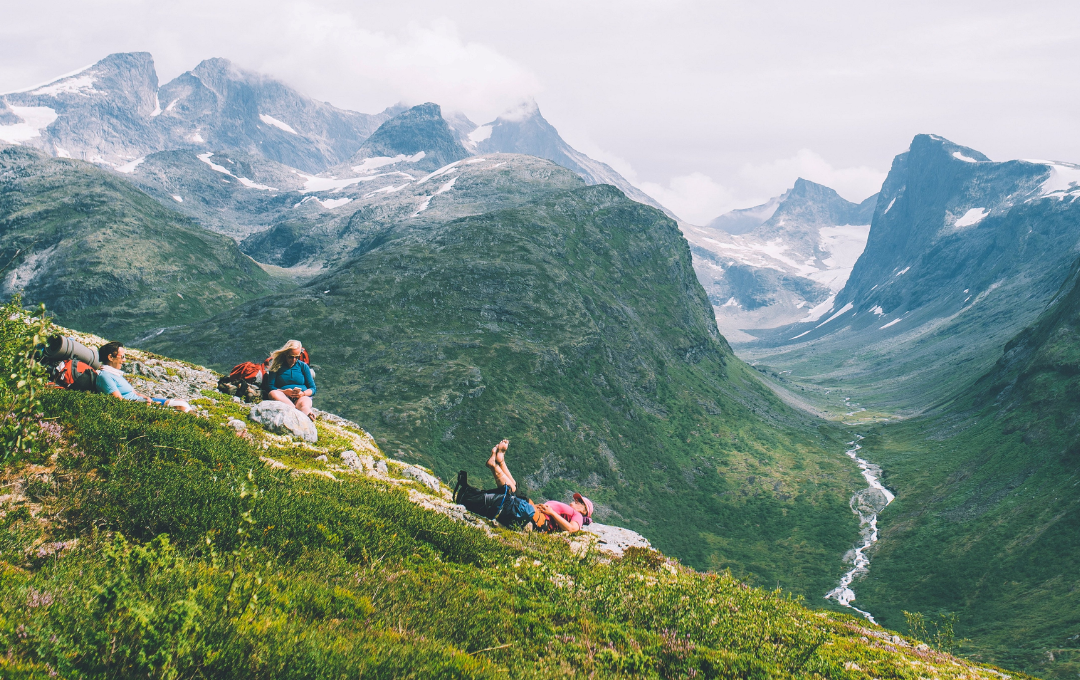 KODULEHE pildid - 2026-01-26T131816.307